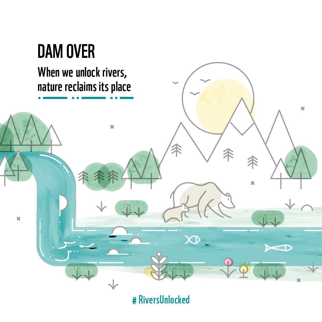 On #InternationalDayOfActionForRivers we wish to shine the light in the Number 1 solution to solve most of their problems:🚧dams, big and small. Help us take down all the old and unnecesary barriers that slice our European rivers at @DamRemovalEU #riversunlocked #protectwater
