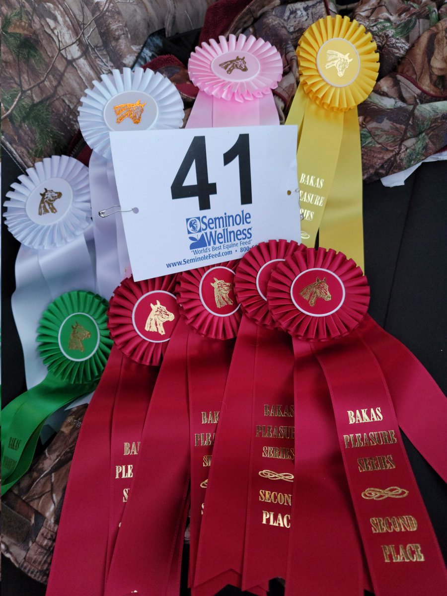 ChAoZReignZ's tweet photo. Placed in 9 out of 12 classes we were in! Not bad for my old man in his first ever show! I'm a bit rusty too, I haven't shown since 2017 lol
But we had so much fun and I'm so incredibly proud of him🥺 he gave me his best and I couldn't be happier 🥰 https://t.co/qKwBtl0wyr