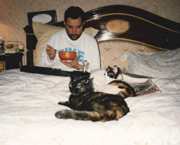 Freddie Mercury eating breakfast in bed with two fo his cats.