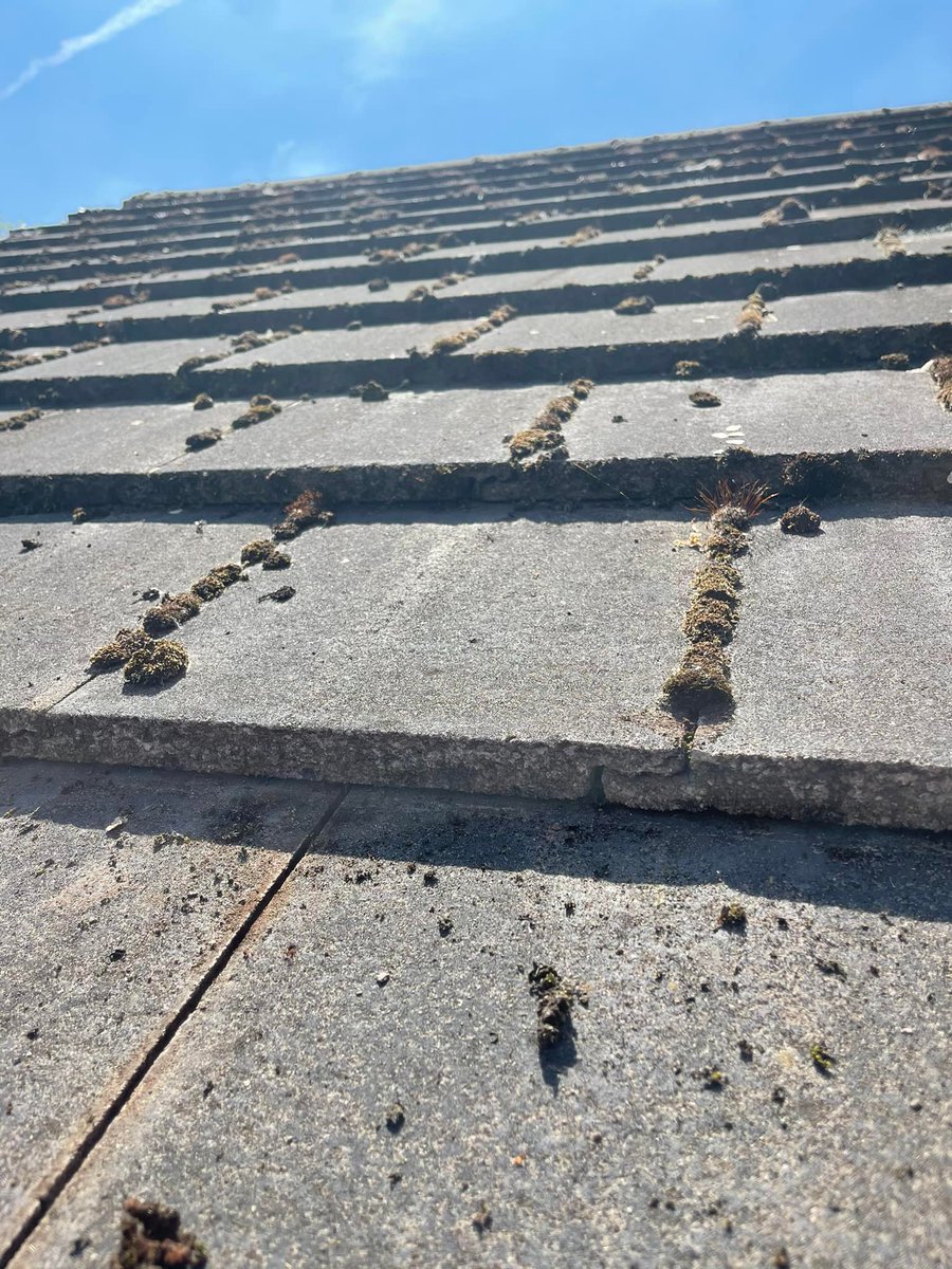 properlauk's tweet photo. Roof tiles left unprotected vs roof tiles treated with RENOTEC Roof Coating!
By preventing water ingress, you help to prevent moss growth, discolouration & damage to your roof tiles.
Why not get in touch for more information regarding our super hydrophobic coatings?
#ProPERLA https://t.co/lilgP5s9Gw