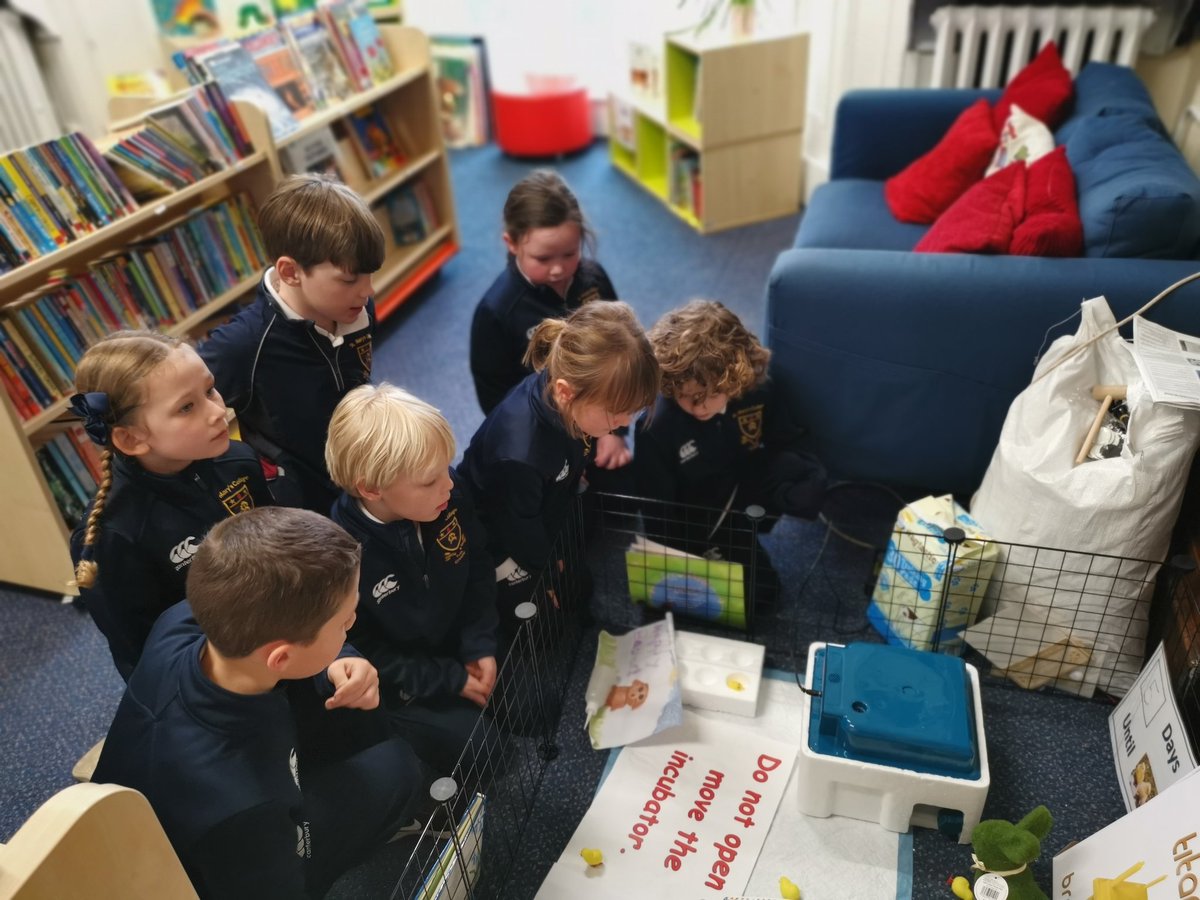 stmarys_prep's tweet photo. To mark #BritishScienceWeek2022 Year 2 watched the @NFUEducation lesson all about the life cycle of a chicken. They  checked on our school incubator and then designed their own incubator, hi lighting its unique features. #chickens  #allaboutscience https://t.co/o6krMmpXP2