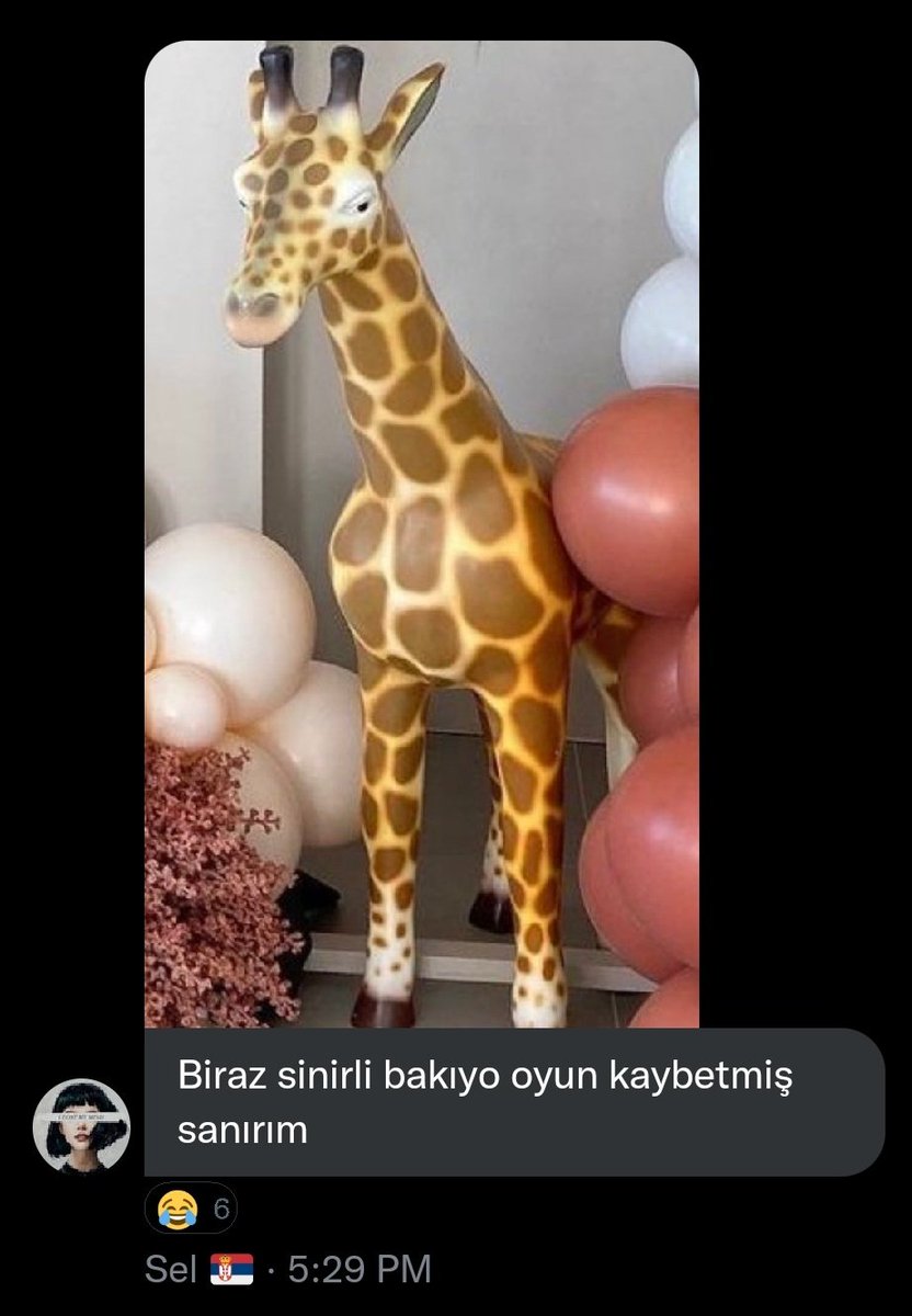 no context serbia team 🇷🇸 (@serbiaateam) on Twitter photo 