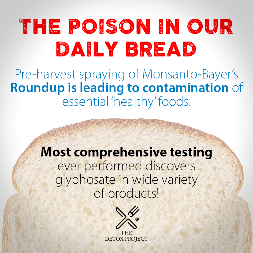 Time to ban glyphosate - look at our latest report - the most comprehensive #glyphosate testing ever performed on the U.S. #food supply! #glyphosatefree #glyphosateresiduefree detoxproject.org/the-poison-in-…