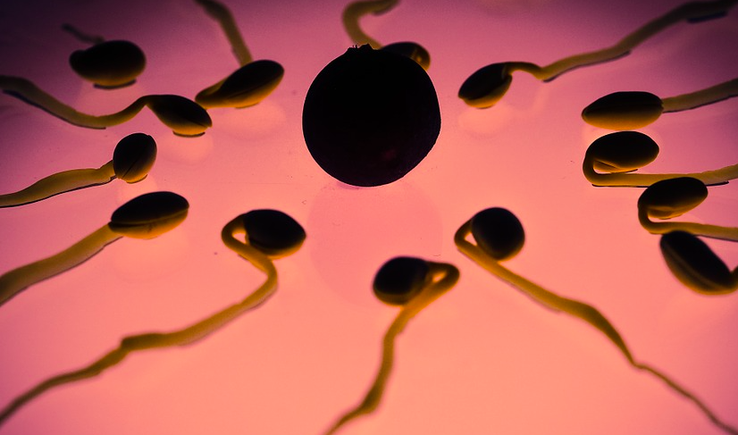 TheParryscope's tweet photo. #TesticularCancer treatment doesn't always doom a man's #fertility https://t.co/iAFTJXQJIE #parryscope #InVitro https://t.co/HAX2SvGEX6