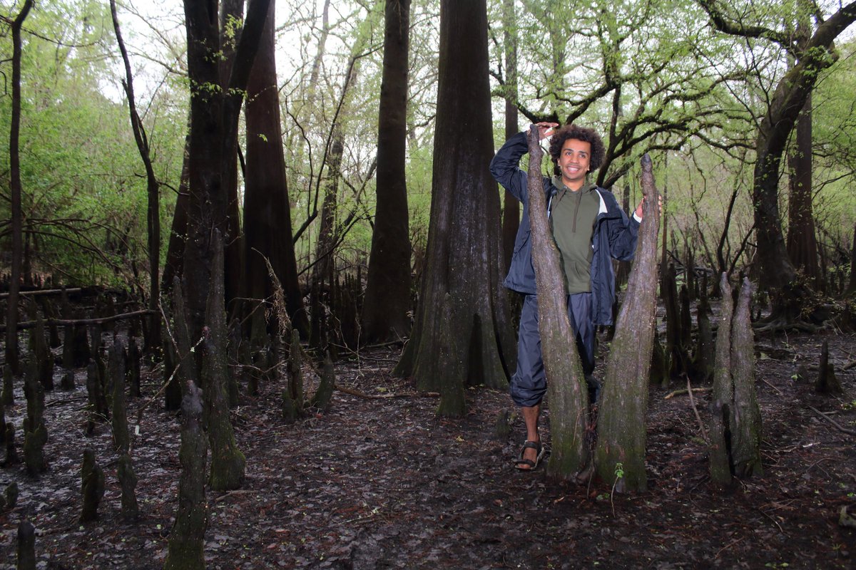 Gavriel Cambridge tweet media