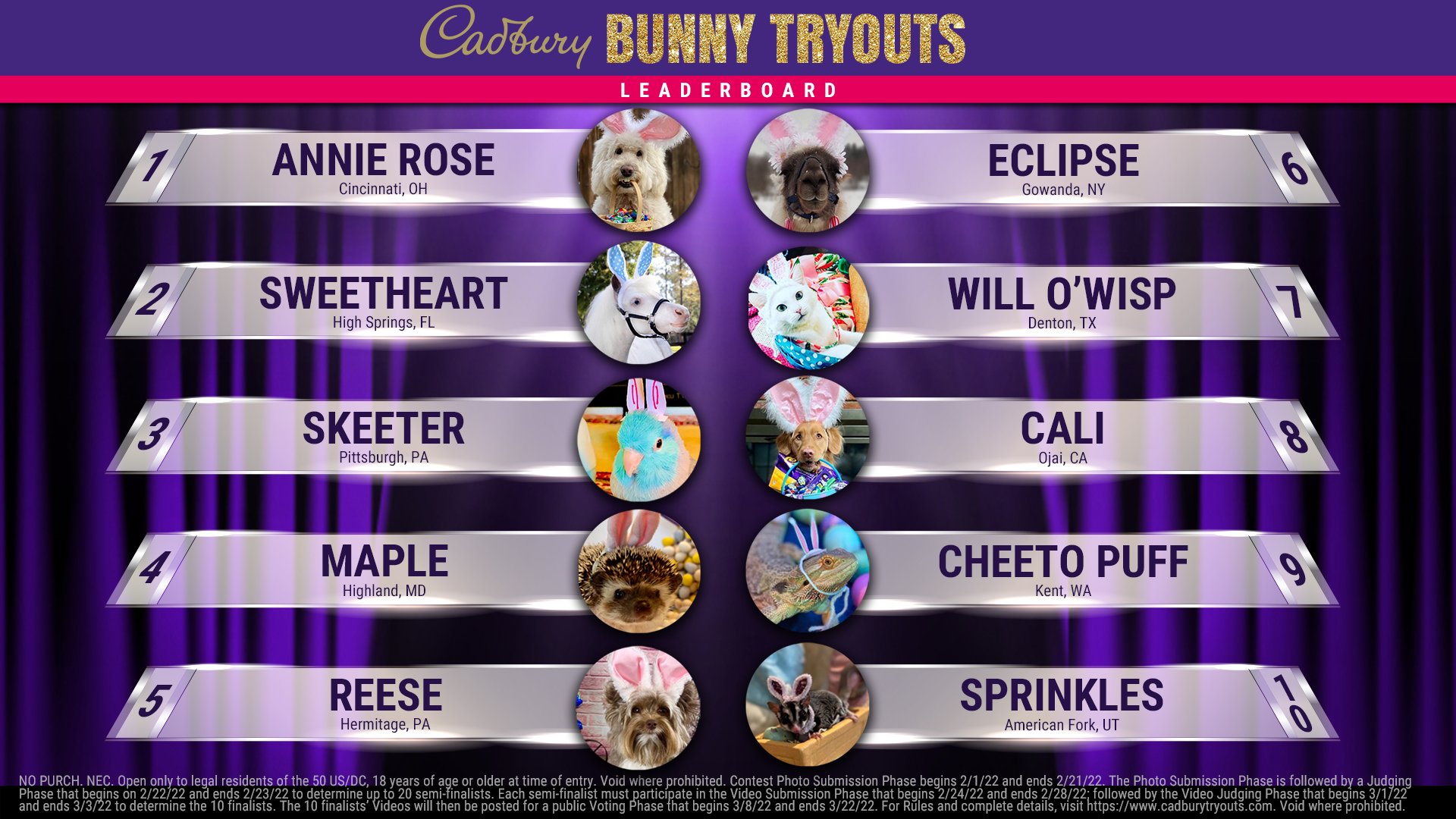 Cadbury USA on Twitter "🚨 LEADERBOARD UPDATE 🚨 Votes are rolling in