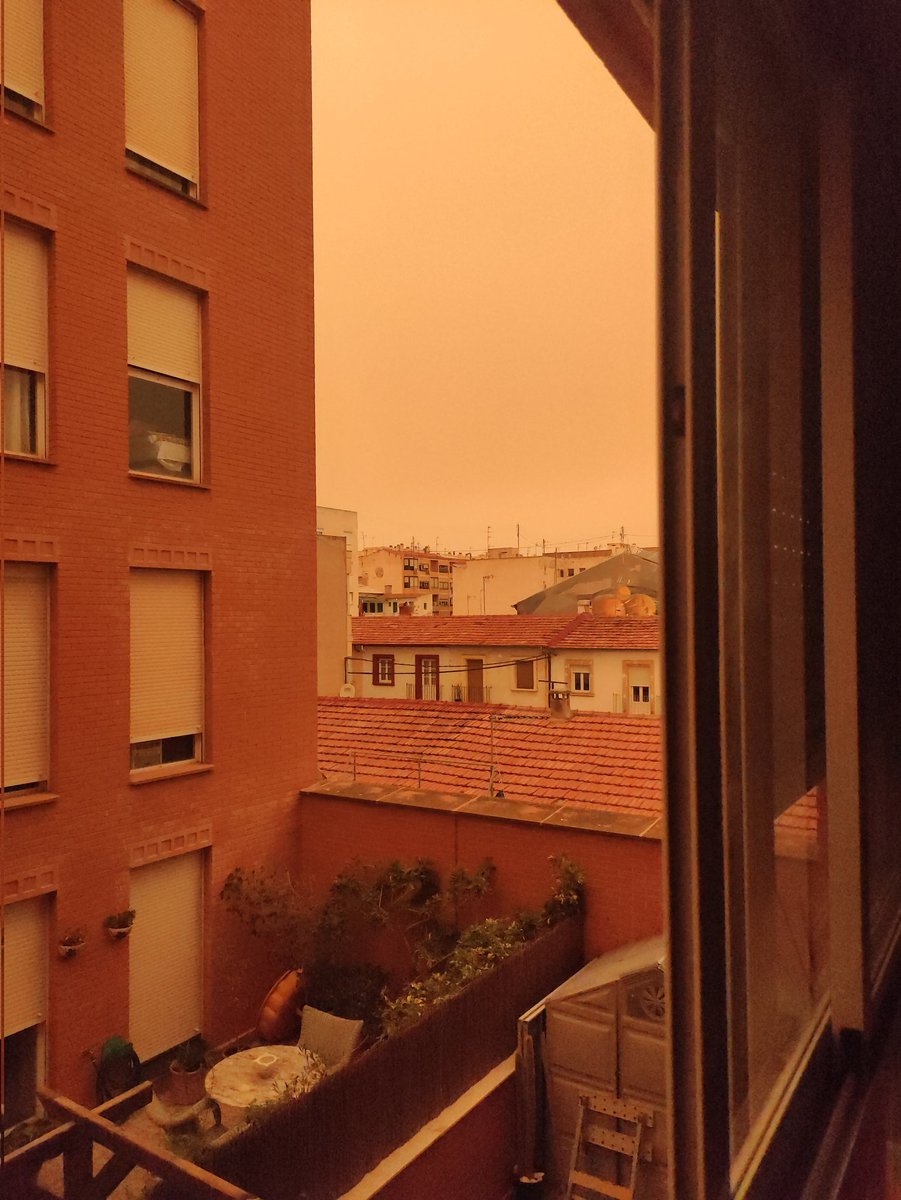 javega00's tweet photo. A alguien se le olvido desactivar algún filtro? (San Juan de Alicante)
#cielo_naranja #Cielo #Naranja https://t.co/XYN9UXb0v4