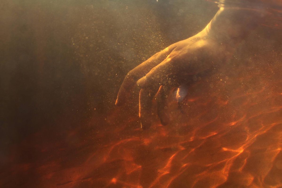 Gavriel Cambridge tweet media