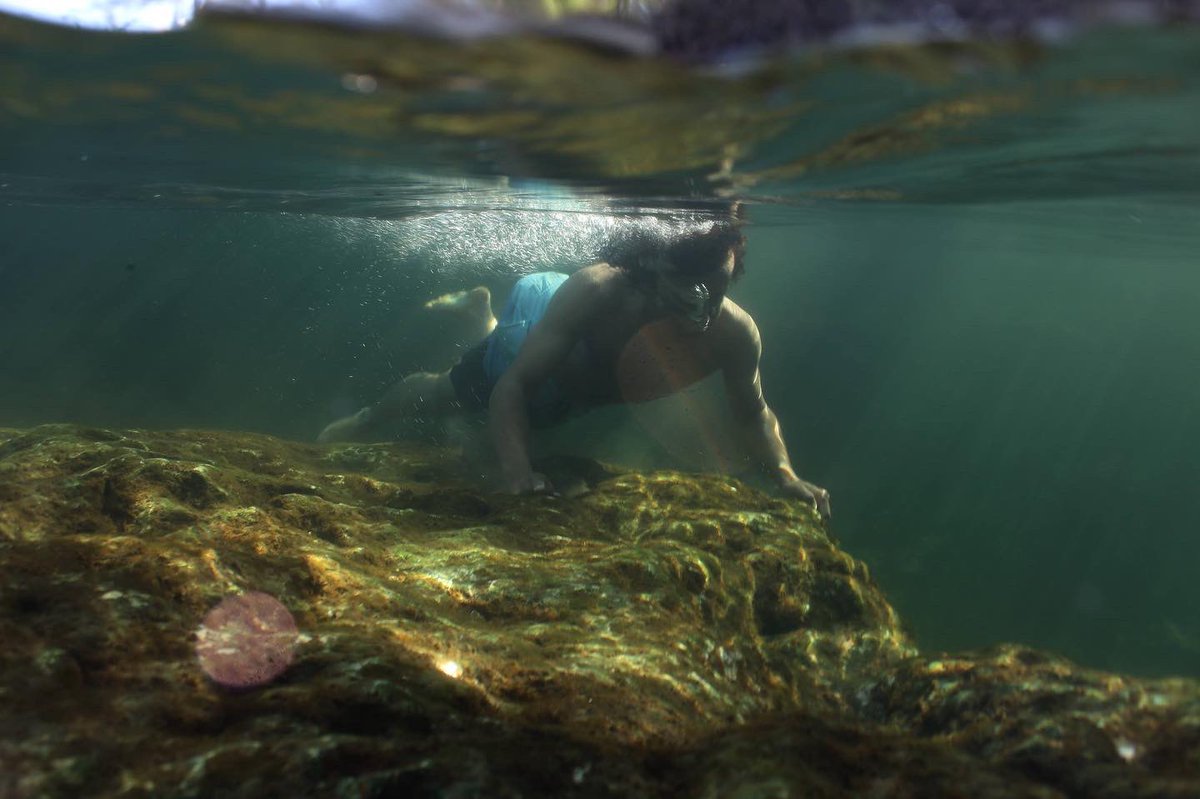 Gavriel Cambridge tweet media