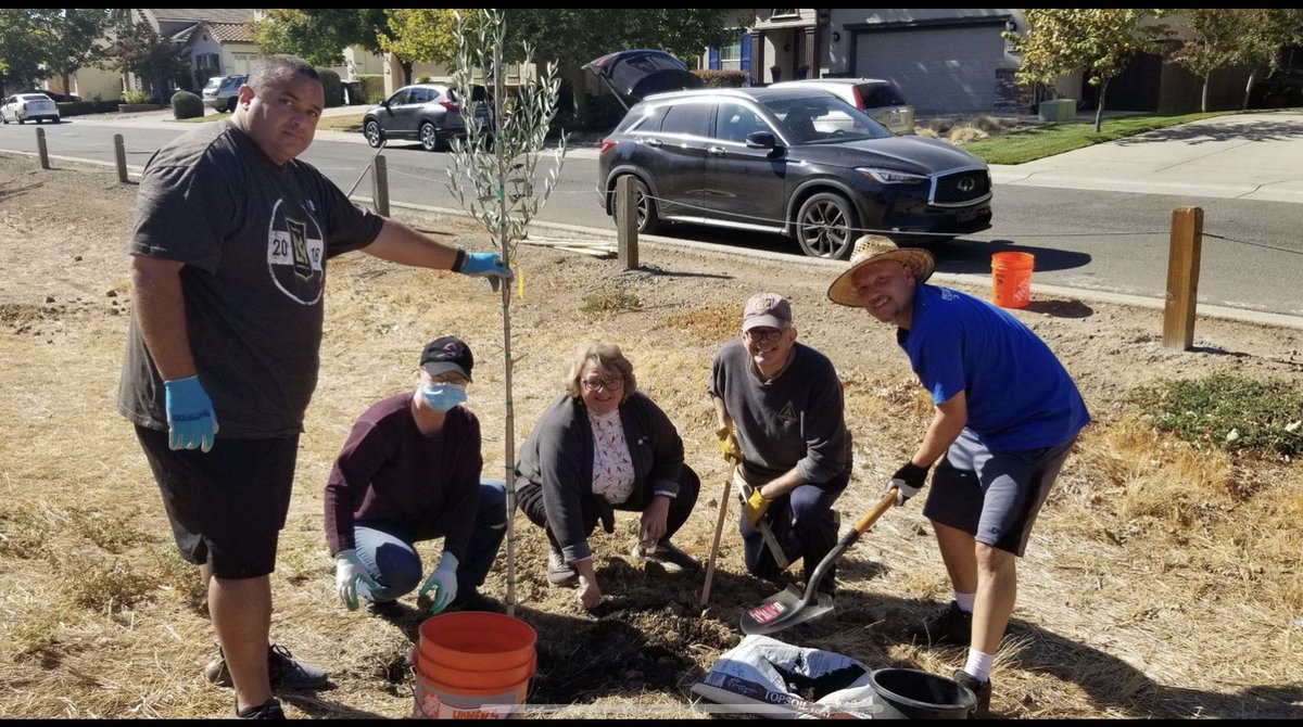 SoLandParkAssn's tweet photo. As Arbor Week wraps up:
Happy CA Arbor Week from South Land Park!
#CAArborWeek
#ArborDay
#Sacramento https://t.co/TkIR2Zzv0O