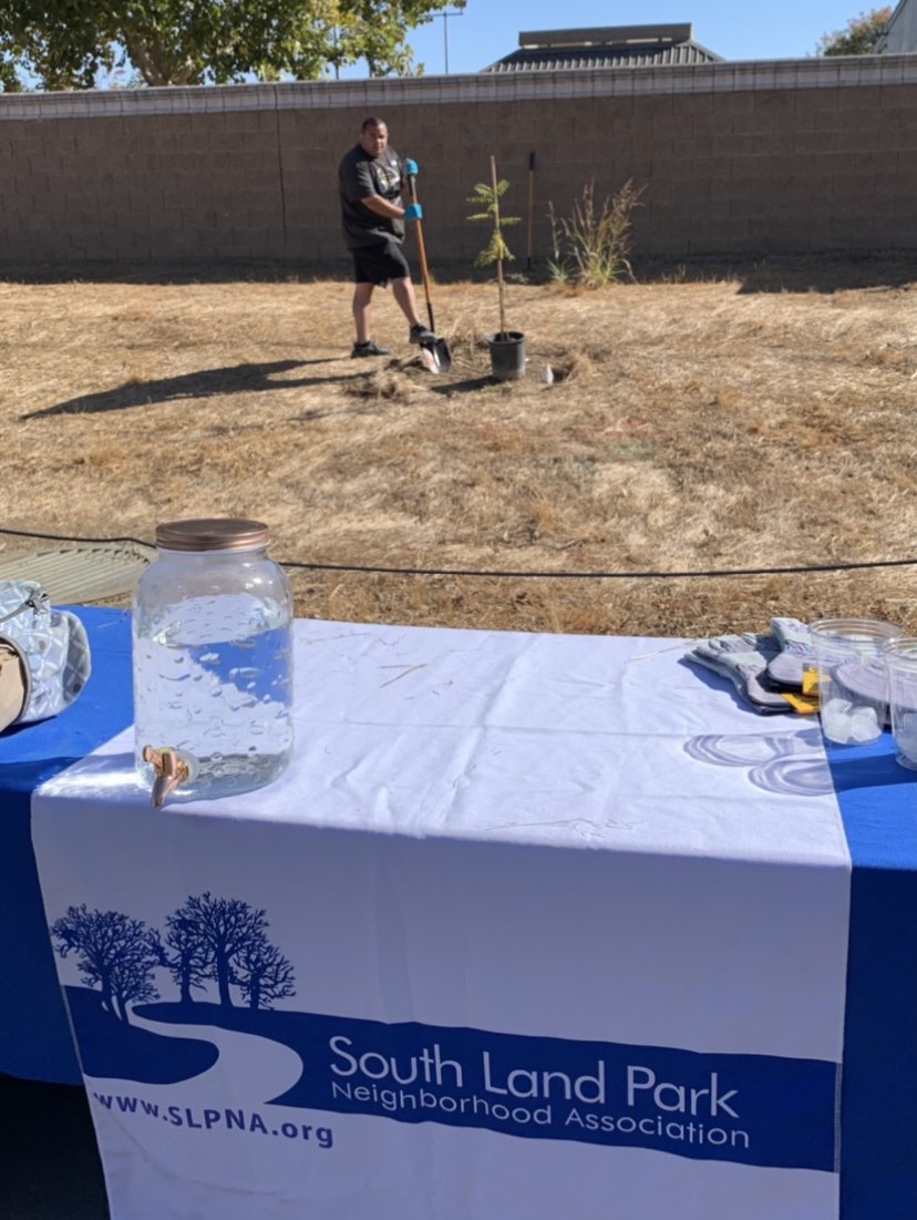 SoLandParkAssn's tweet photo. As Arbor Week wraps up:
Happy CA Arbor Week from South Land Park!
#CAArborWeek
#ArborDay
#Sacramento https://t.co/TkIR2Zzv0O