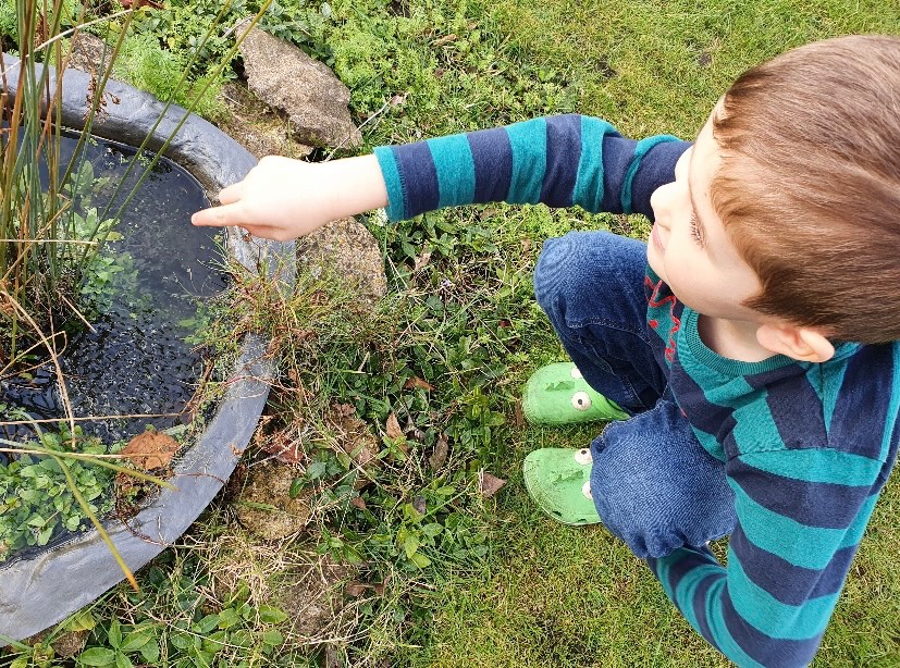 RedClassCharlt1's tweet photo. It’s Science Week! It is so lovely to see so many of our children exploring ‘growth’ at home! What will you find? 🐸🪴🌺 https://t.co/FZ3vTMMdN8