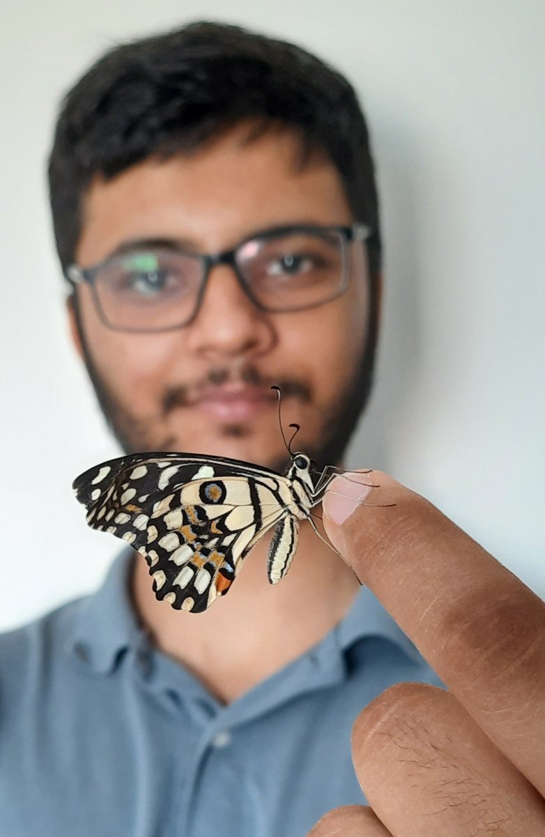 Neelsureja1999's tweet photo. March 14 every year is celebrated as National Butterflies Day.
https://t.co/3Mn9LsinV5

#India
#Comm4cons
#Butterflies 
#butterflyconservation https://t.co/1AAKd6OBto