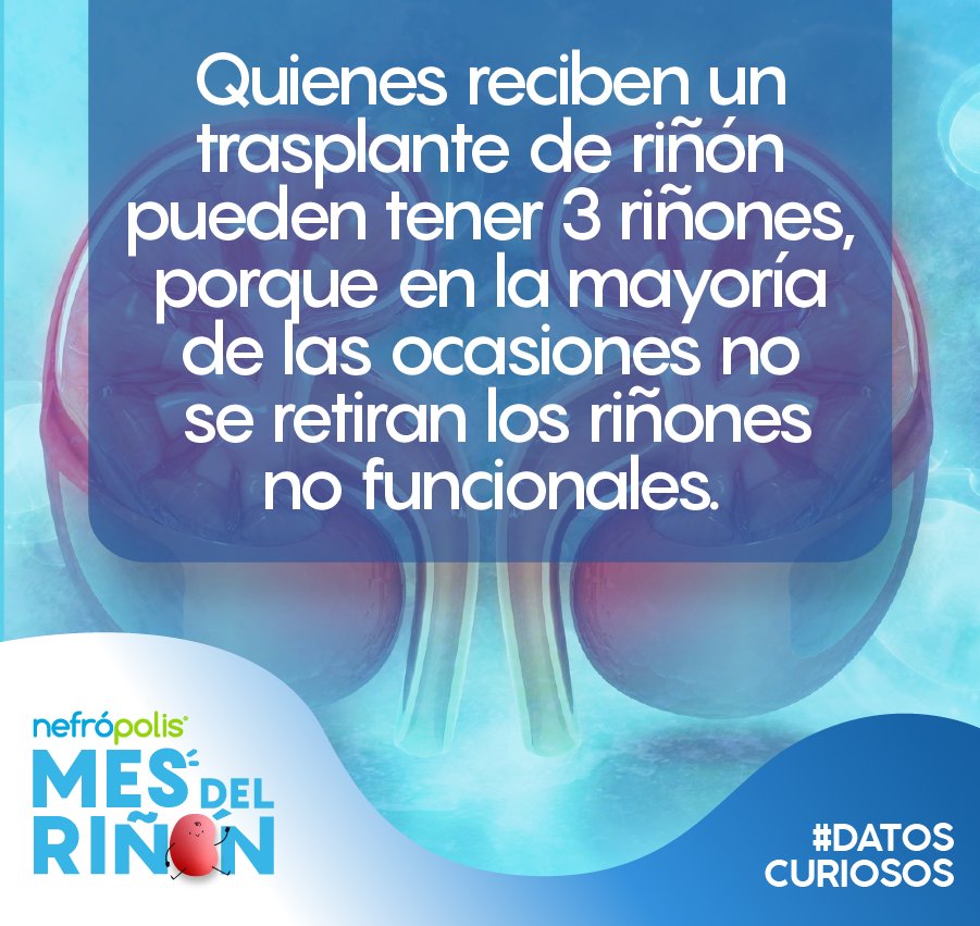 ¿Ya la conocías esta información?💙

#DatosCuriosos #Sabíasque  #ERC #EnfermedadCronicoRenal #Nefropolis #Riñones #Nefropolis #SaludRenal #FarmaciaEspecializada #PrevenciónRenal #Nefronas