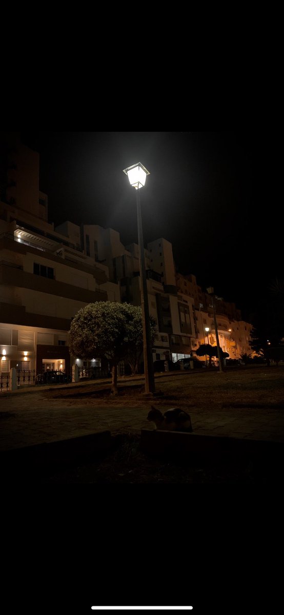 these days require a lot of patience and silence and ignoring’