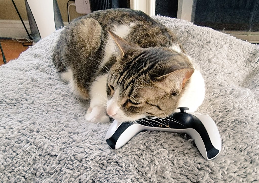 Nintendont_64's tweet photo. #ConsoleWarrior https://t.co/6xLeuXe19N