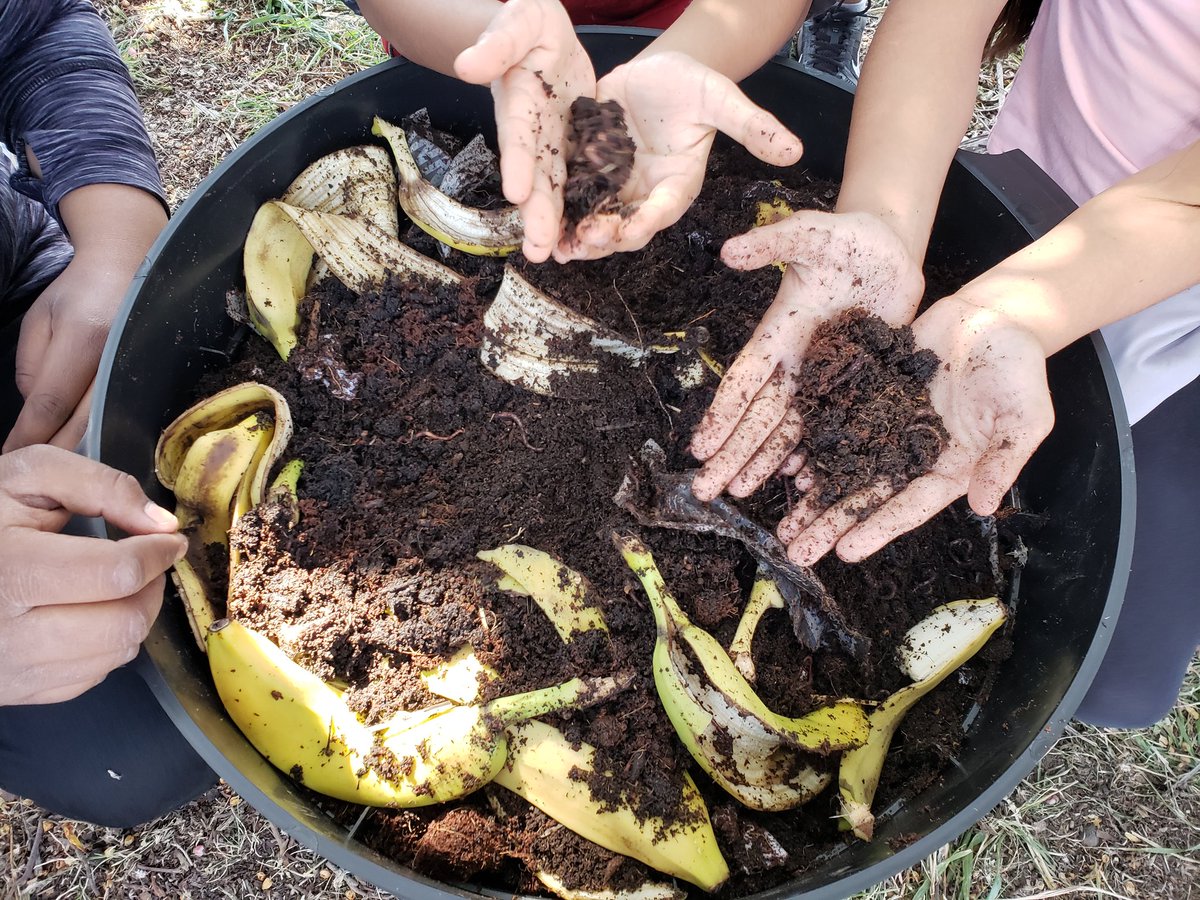 Rio Farm to School tweet media
