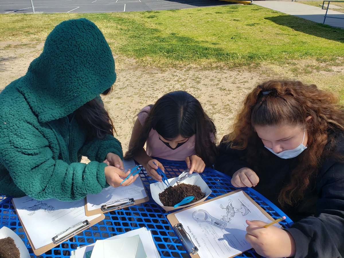 Rio Farm to School tweet media