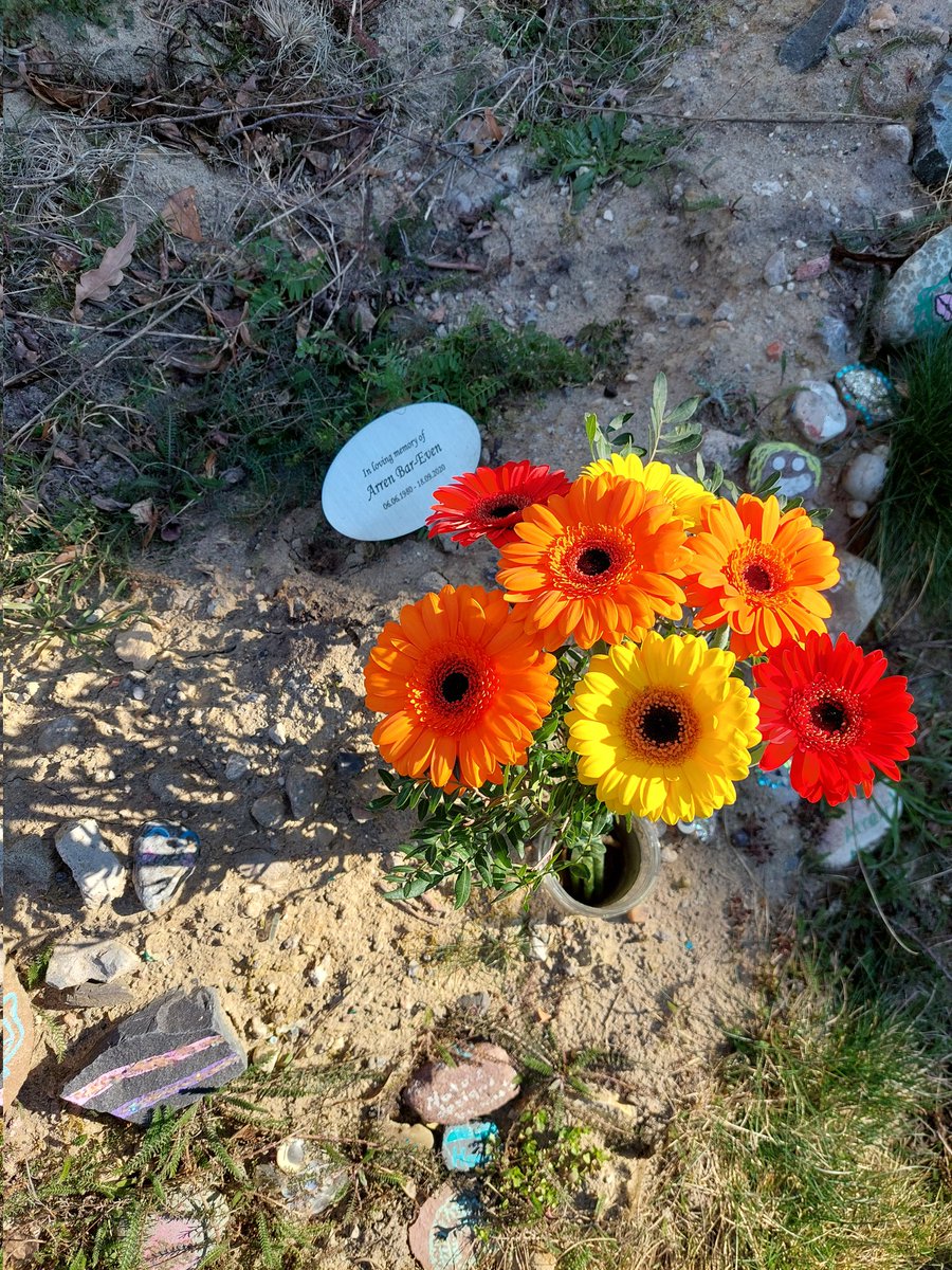 Alberto De Maria tweet media