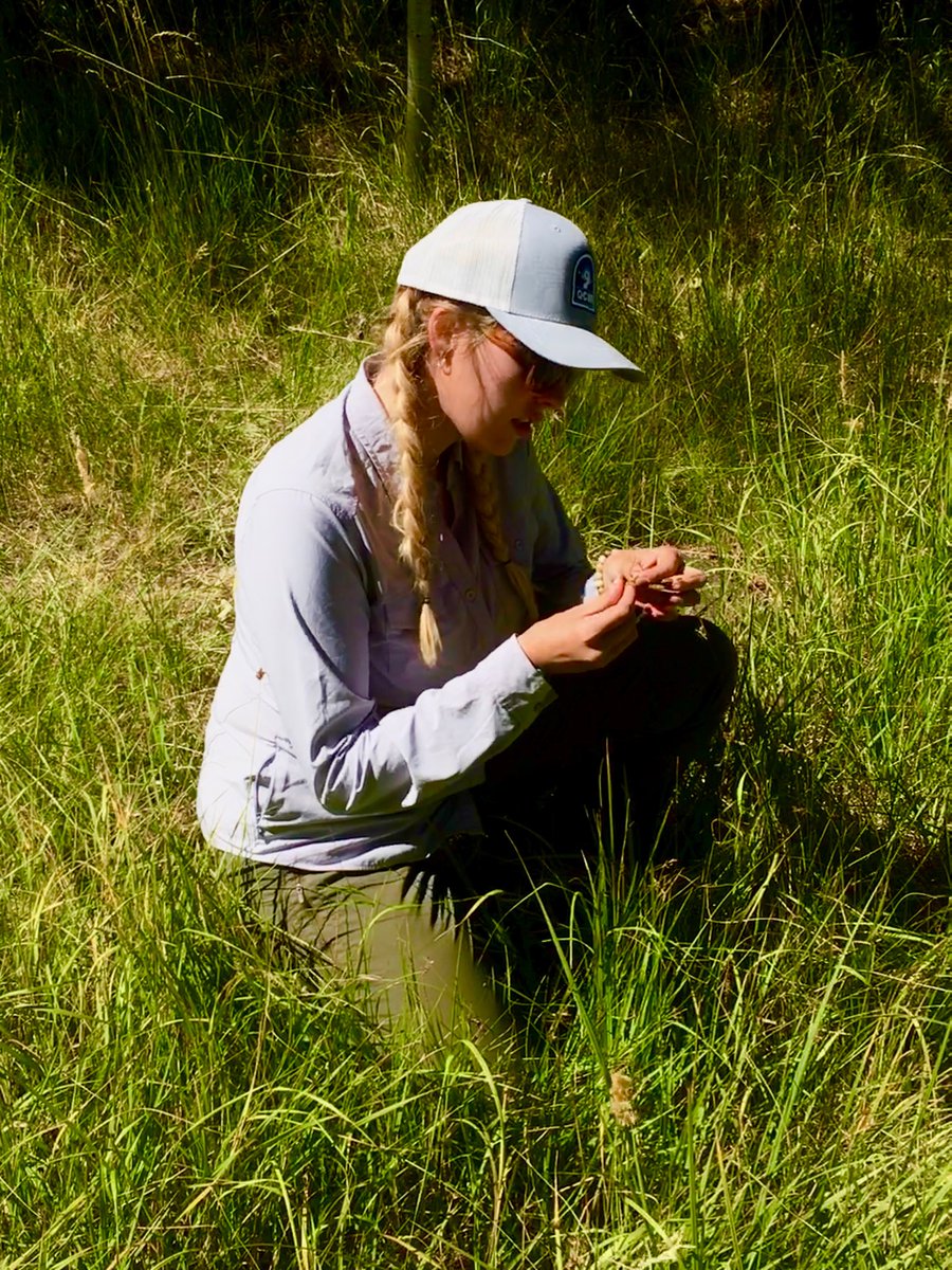 USU_UR's tweet photo. Applications are now open for 2022-2023 Undergraduate Research Fellows! If you are an incoming freshman or sophomore, check out the program and apply to join our research family!
https://t.co/Y67AjdodtV

#USUResearch #USUUndergradResearch https://t.co/72BViA04L8
