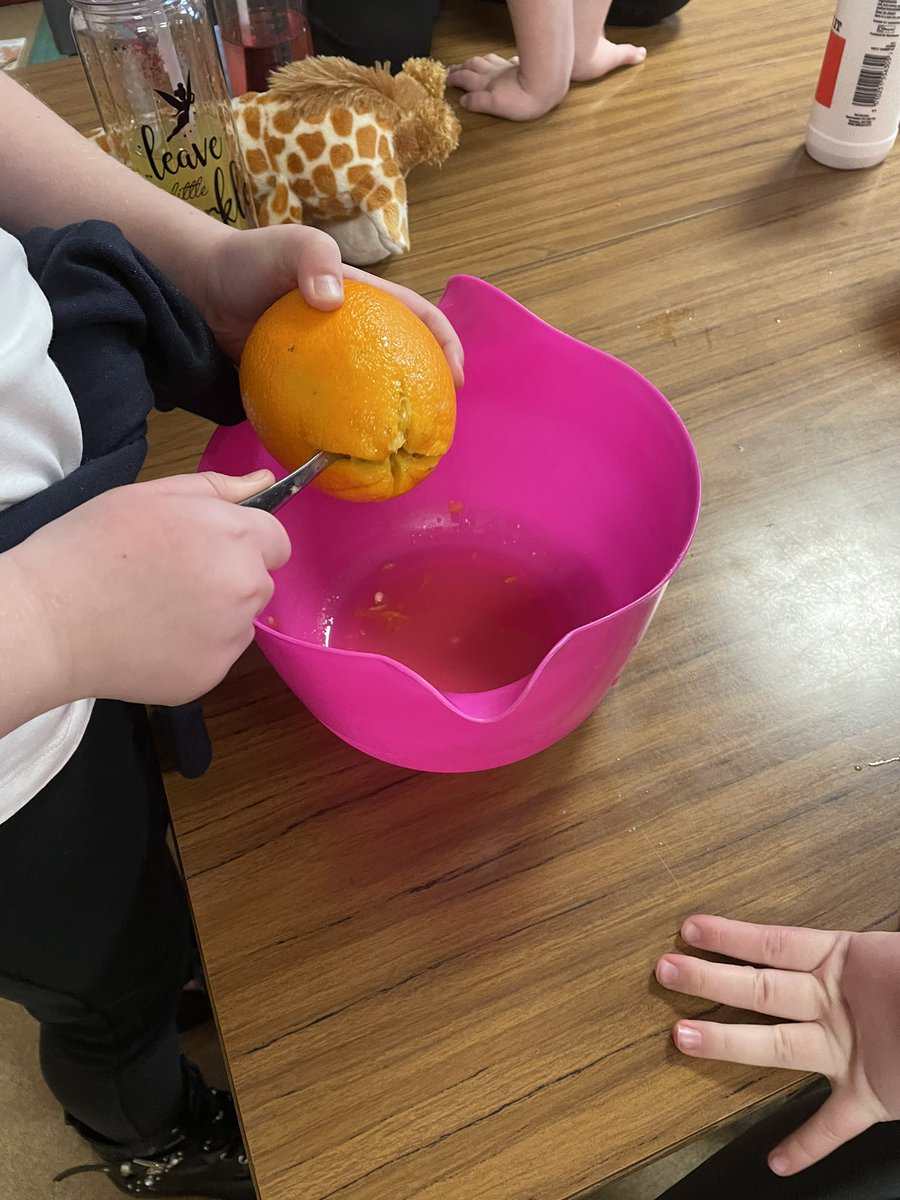 Had such a fun afternoon last week helping out in the P3 class to mummify oranges <a href="/DunipacePS/">Dunipace Primary</a> thanks to <a href="/MrsEBartley/">Mrs Bartley</a> 😊🍊 #watchusgrow