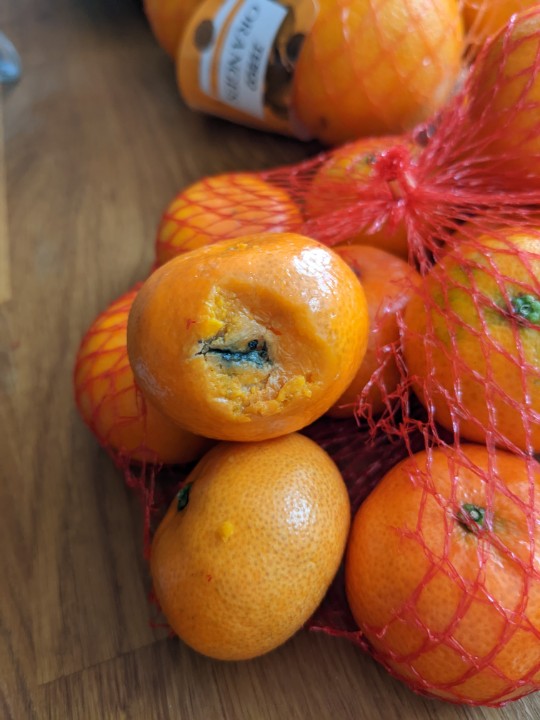 abstractLucas's tweet photo. @Tesco Issues with my grocery delivery today - this mouldy satsuma, a split bottle of hand wash and a missing pack of frozen tuna - can you resolve this? (I can't phone due to hearing impairment) https://t.co/n5G96CNw0i