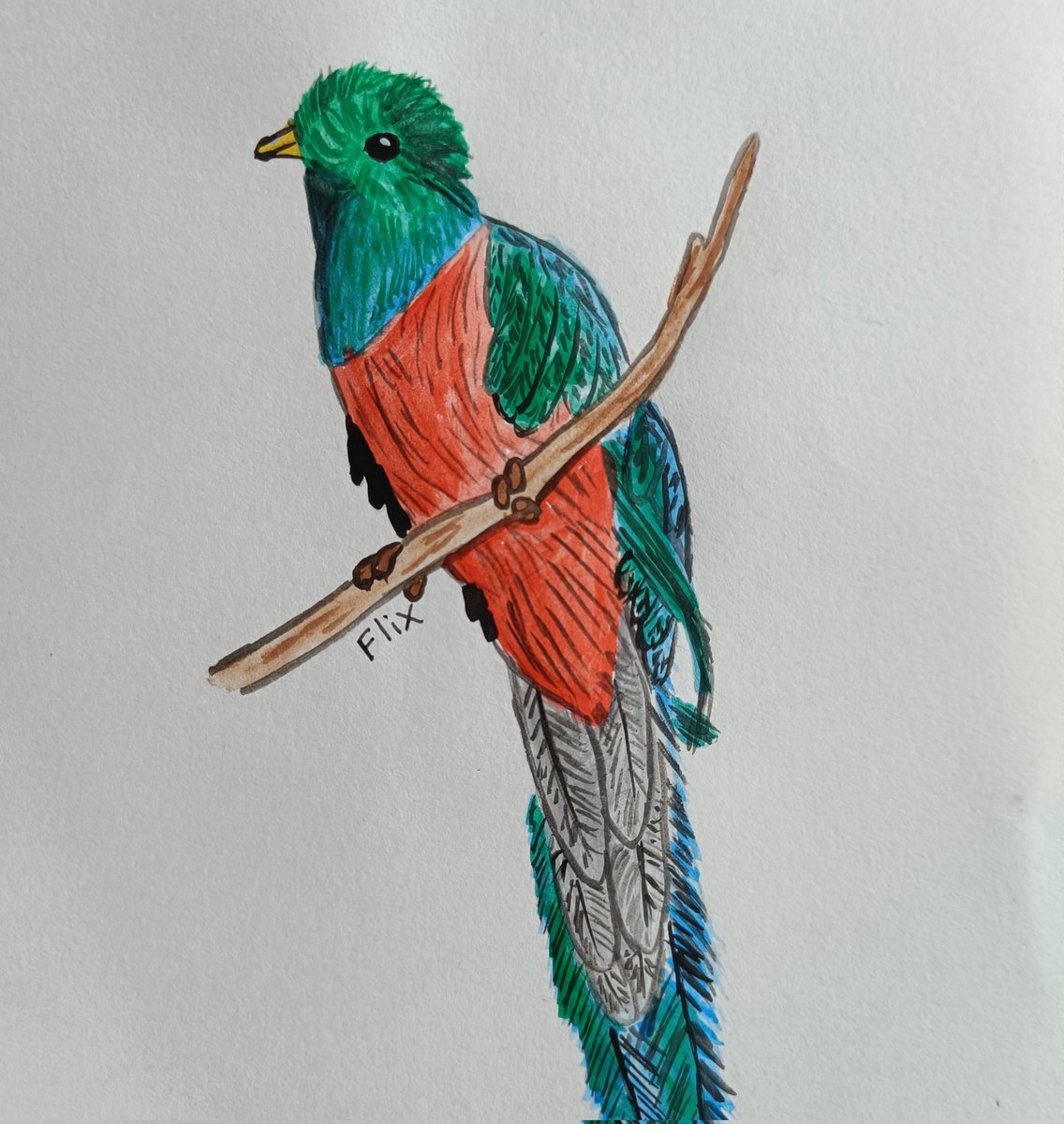 Birbfest 31: quetzal
In real life these are quite different from the quetzals I know from the videogame "Ark: survival evolved"

instagram.com/p/CbD5r5ftSwL/…
#birds #Watercolour #art