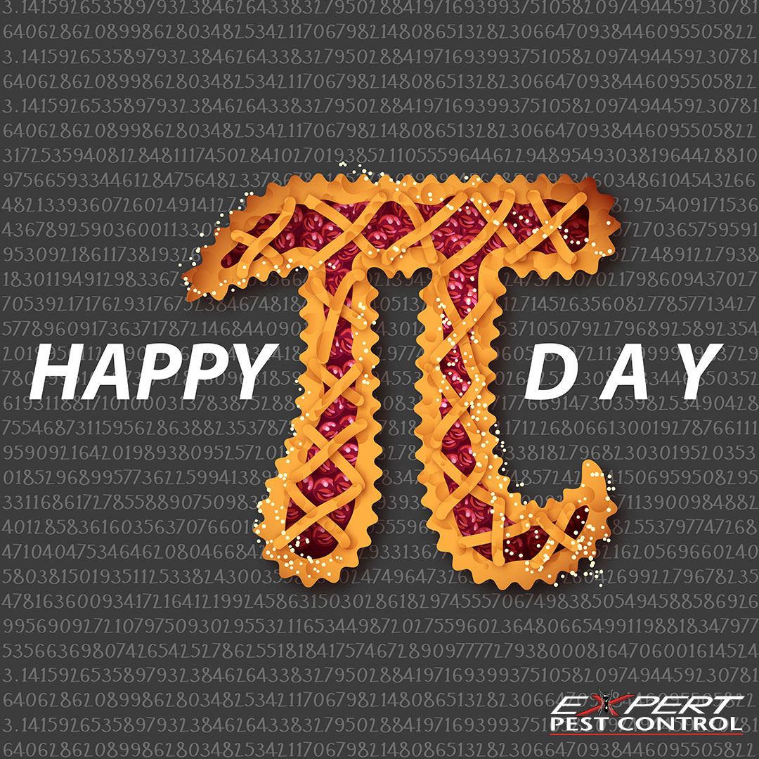 ExpertPestC's tweet photo. Our favorite is cherry! Wait – what? Oh. Not that kind of pie. #NationalPiDday https://t.co/hWP2K929TA