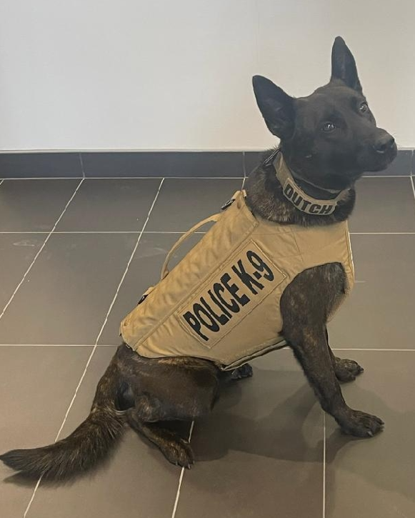 ClivePolice's tweet photo. K9 Dutch receives donation of Ballistic and stab proof vest!  Thanks to Vested interest in K9's for this important piece of equipment! https://t.co/EhwkIktMVI #CPDinfo #protectingDutch https://t.co/9uh6seG8xA