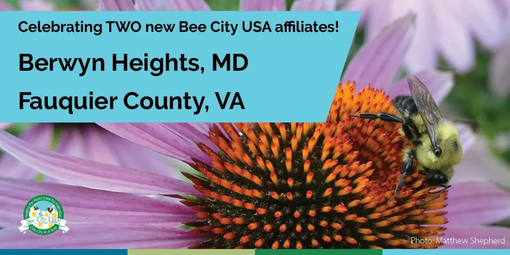 BeeCityUSA's tweet photo. We’re celebrating TWO new city affiliates!

Thank you to the communities of Berwyn Heights, MD, and Fauquier County, VA, for making the commitment to help pollinators.

@BerwynHeightsMD @Fauquier_County #BeeCampusUSA #BeeCityUSA #ProtectingPollinators https://t.co/QIExyNIf9S