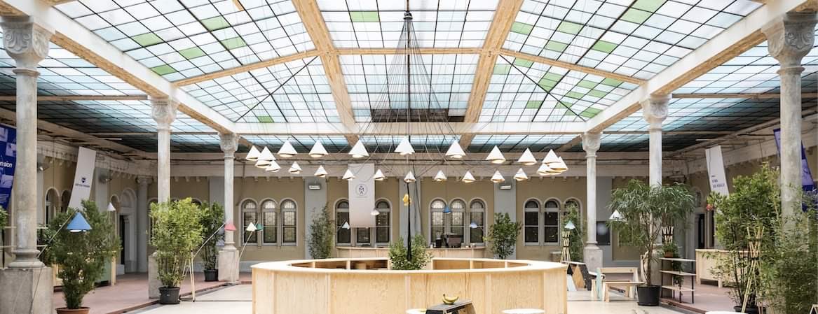 Contemporary Lynx tweet media