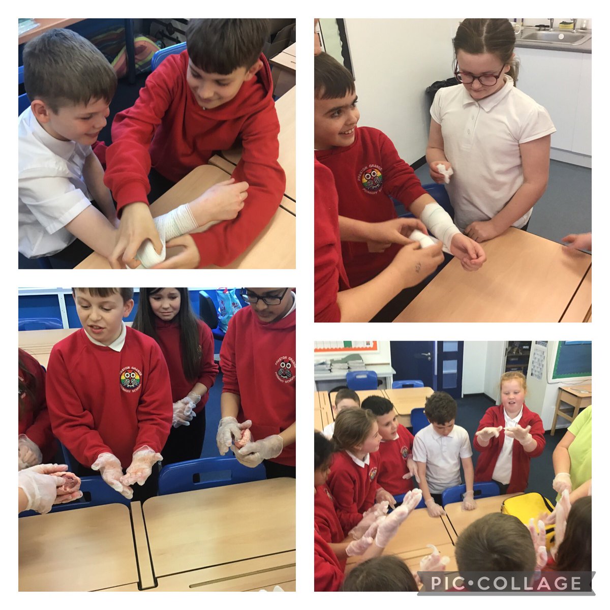 pg_primary's tweet photo. ❤️🫀🩹⛑🤕👏👍🥳🤩 Year 5 have looked at and handled a heart and learned how to apply a bandage this afternoon with @LR_Tyneside ❤️🫀🩹⛑🤕👏👍🥳🤩 https://t.co/1RaL2X0Ad2