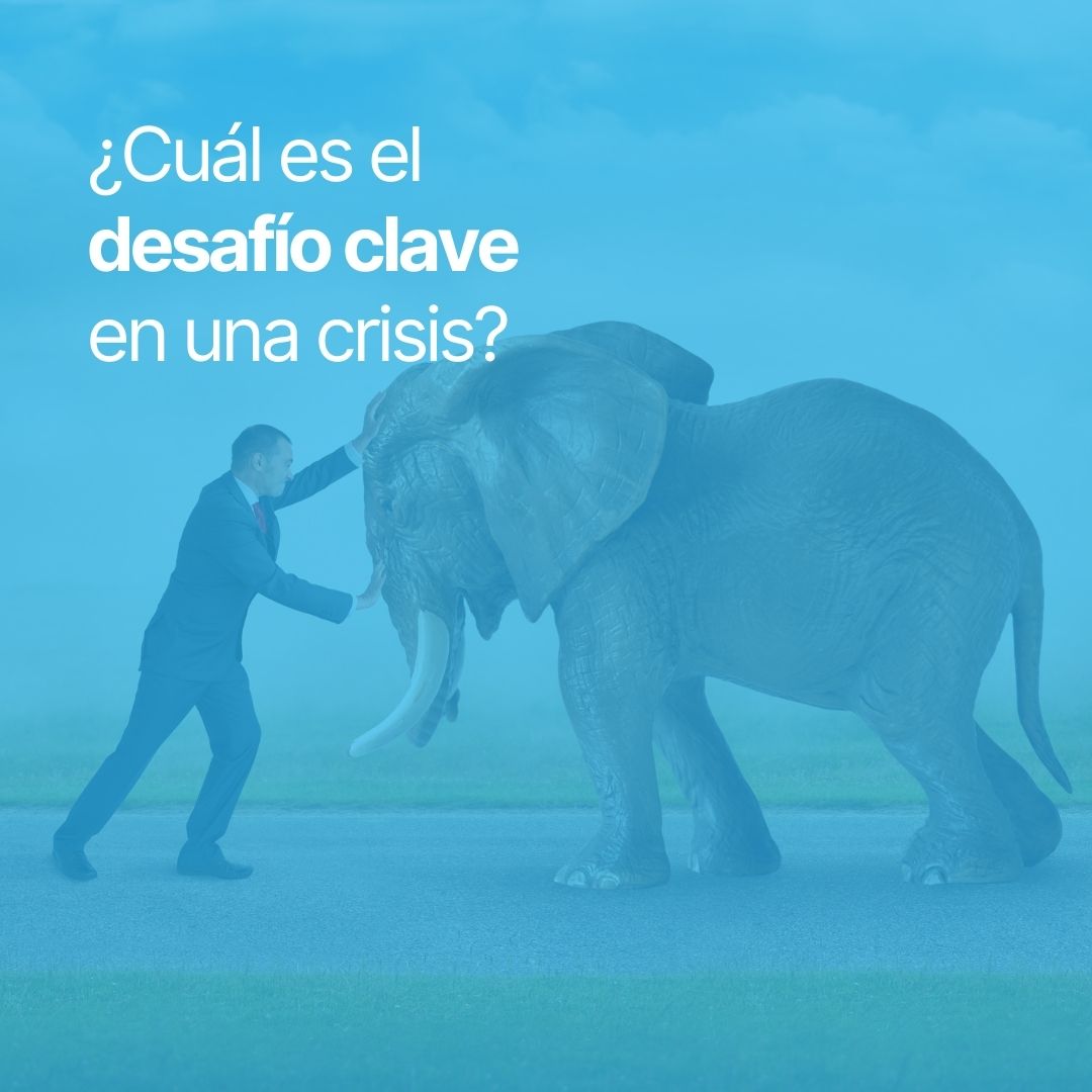 F24 en Español tweet media
