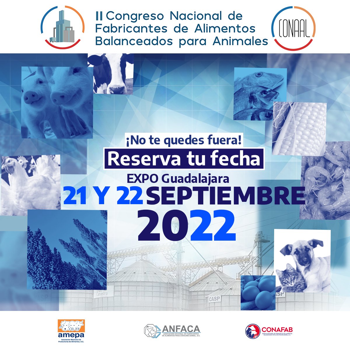 ANFACA_SC's tweet photo. REGÍSTRATE PARA PARTICIPAR EN NUESTRO CONGRESO 2022

CONOCE MÁS: 
https://t.co/2olYkGgGis

#expoGdl #Agroalimentario #Alimentosbalanceados #Anfaca https://t.co/11M6mzulZW