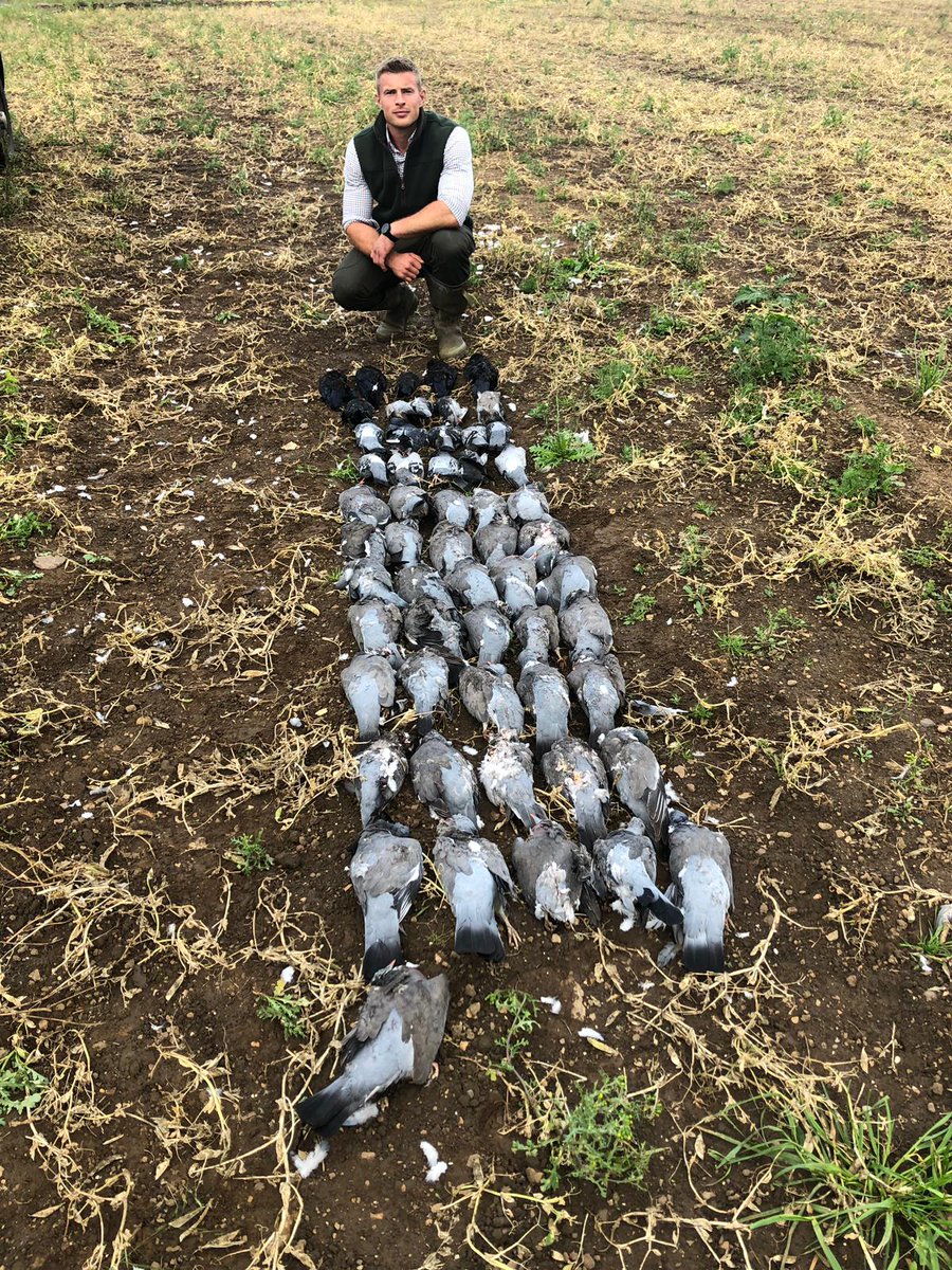 We love seeing your photos out in the field! We'll be drawing our Customer of the Month Photo competition winner for this month soon, make sure you tag us in your photos to be in with a chance of winning a prize! 📷 🐦 🎁 

#ukshootwarehouse