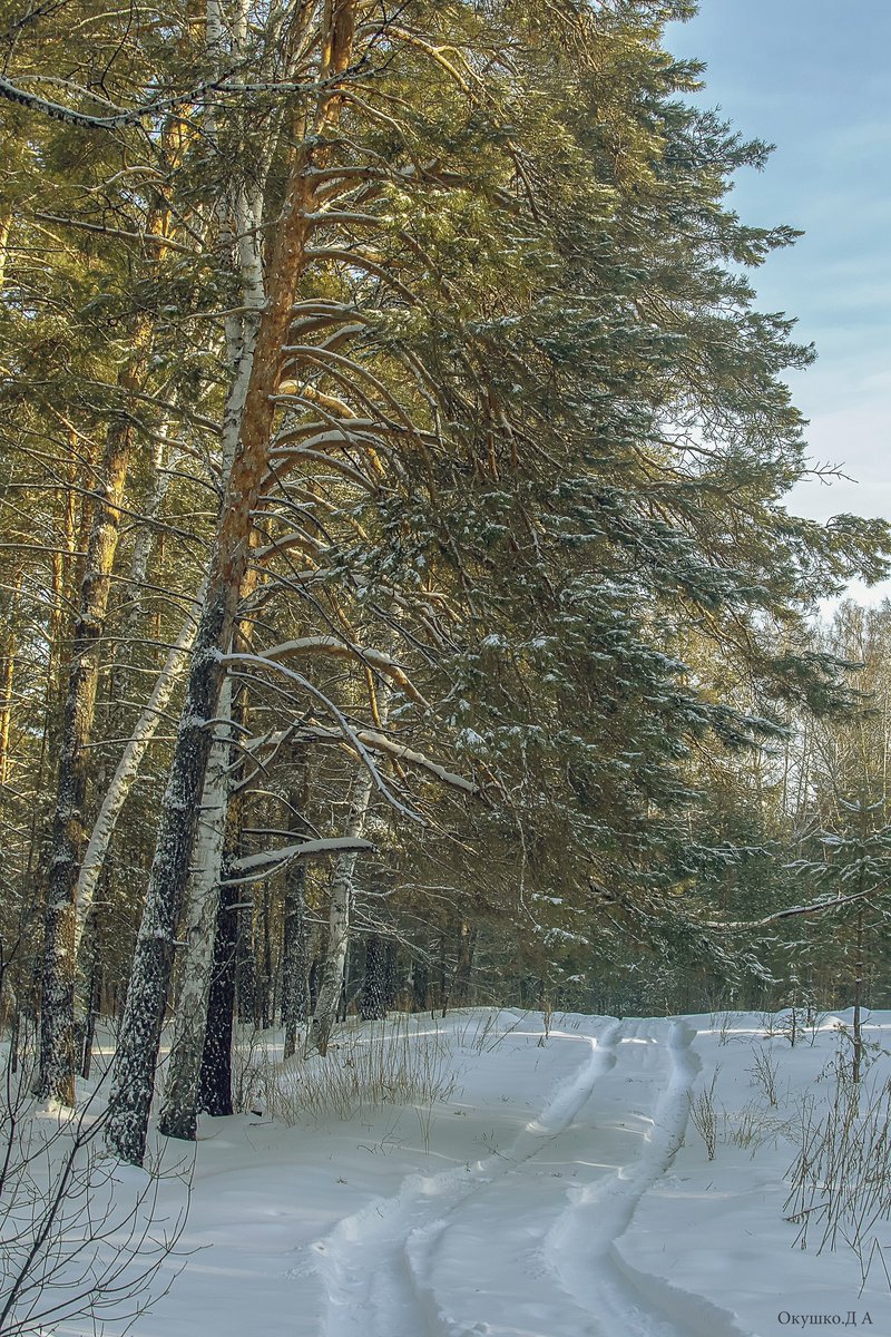 Тропинка.