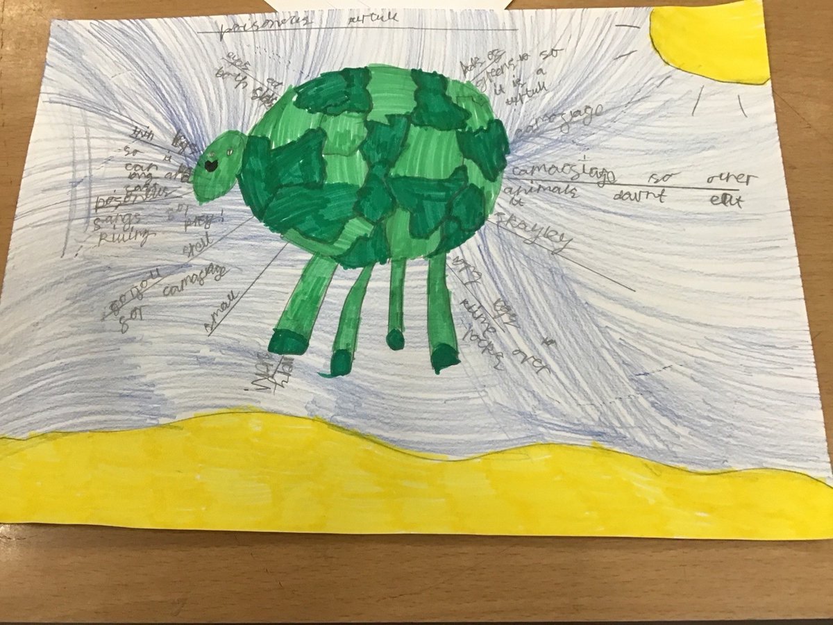 Lantern Primary tweet media