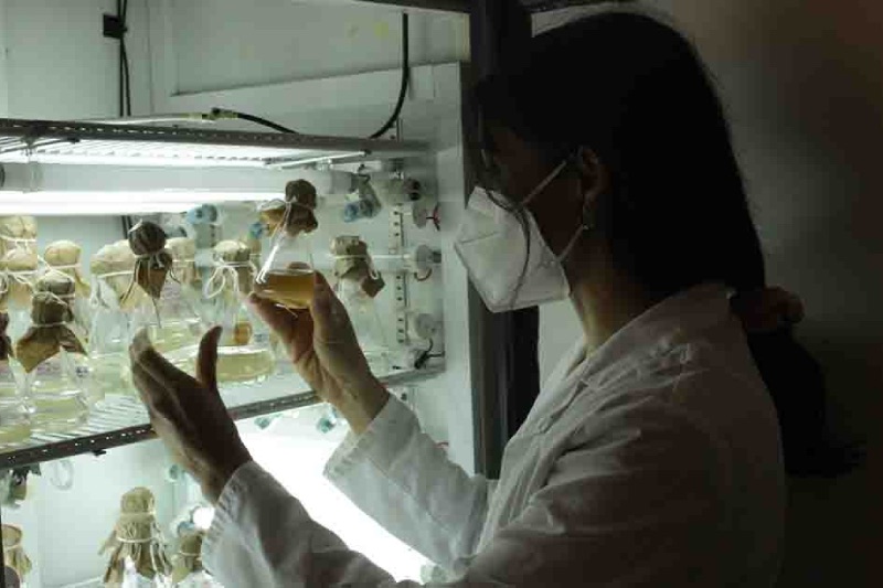 diariosustentab's tweet photo. #AcademiaLab: #investigadoras @DOCEUdeC crean #sedante a partir de una #microalga tóxica.
https://t.co/PG5qywUU1p https://t.co/NKlVaMGSr4