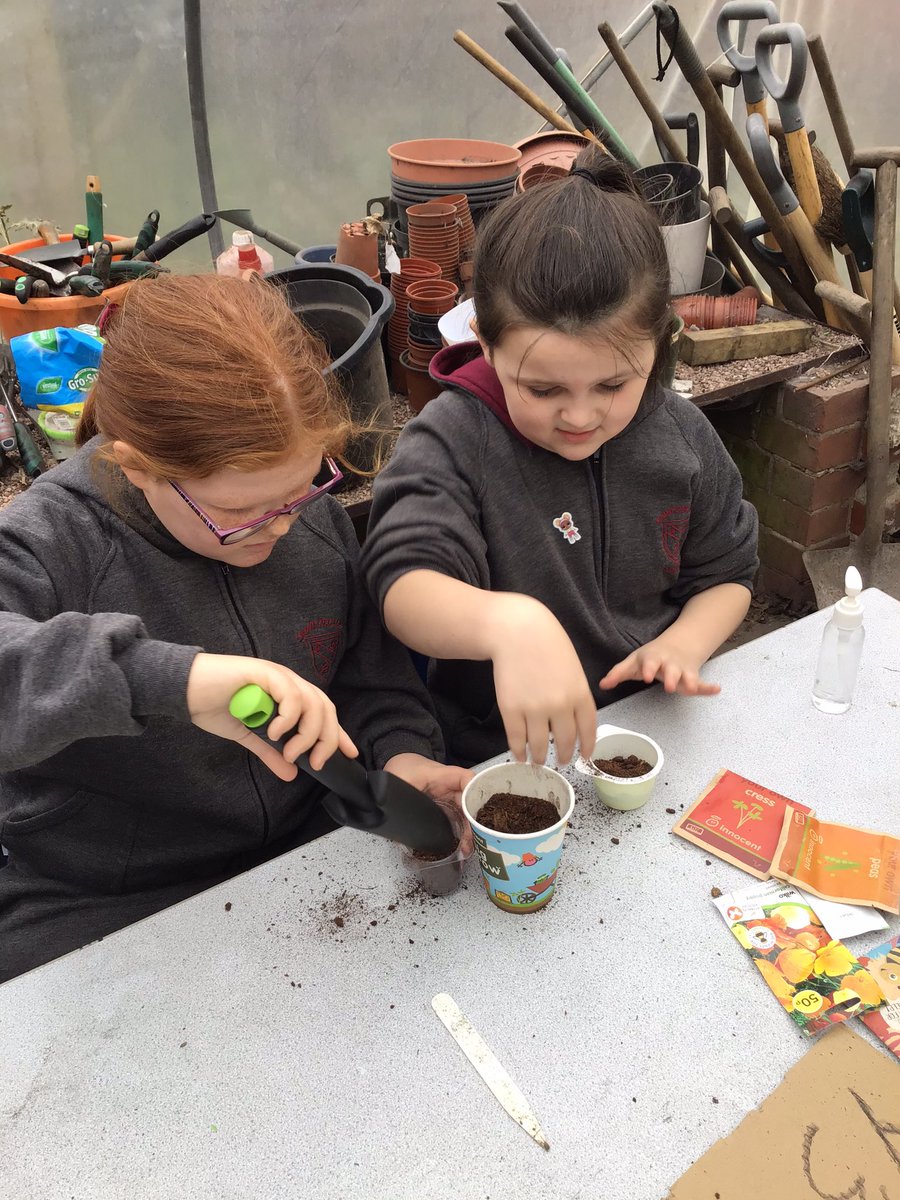 StCeciliascjs's tweet photo. 3-1 are having a great time adding designs to flower pots and planting cress seeds at the allotment 🌱 #StCeciliasScience #STEMWeek2022 #StCeciliasSTEM #BSW22 @ScienceWeekUK https://t.co/qsGR5O1wnp