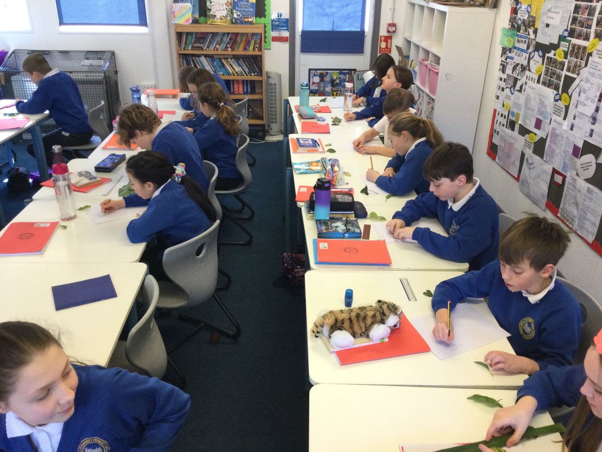 uphillvillage's tweet image. Year 5/6 found different shaped leaves, drew around them before making predictions about their area and then calculating the actual area #imagining #expressing #conjecturing #convincing #CLFBigDayofMaths