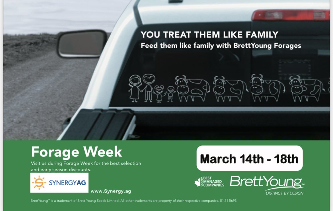 SynergyAG's tweet photo. BrettYoung offers a wide variety of carefully crafted stock blends and custom blends tailored for your specific needs. Get the best selection and price on BrettYoung forages by visiting any #SynergyAG location during Forage Week.
#rootsyoucancounton #forageweek https://t.co/XmI4Mu8G0i