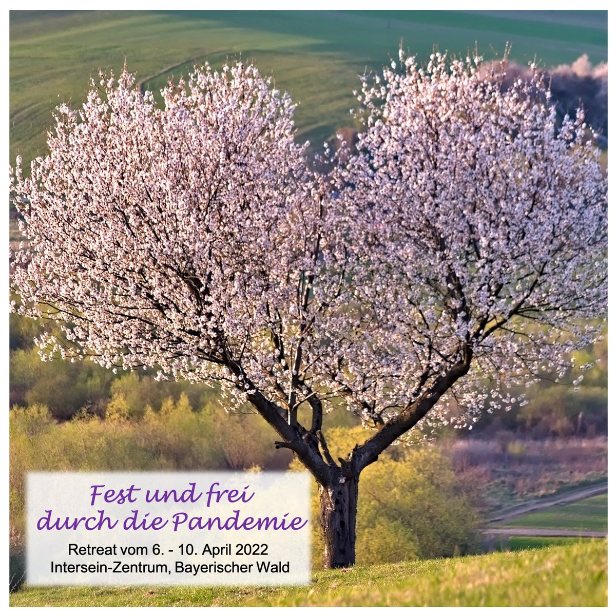 Inmitten dieser schwierigen Zeiten halten mein Mann und ich ein Seminar / Retreat:
msc-nuernberg.de/portfolio-item…

(Angesichts der jetzigen Situation wäre der Titel "Stabil und frei durch Krisenzeiten" noch passender.)

Ein paar Plätze gibt es noch...

#mindfulness #resilienz #intersein