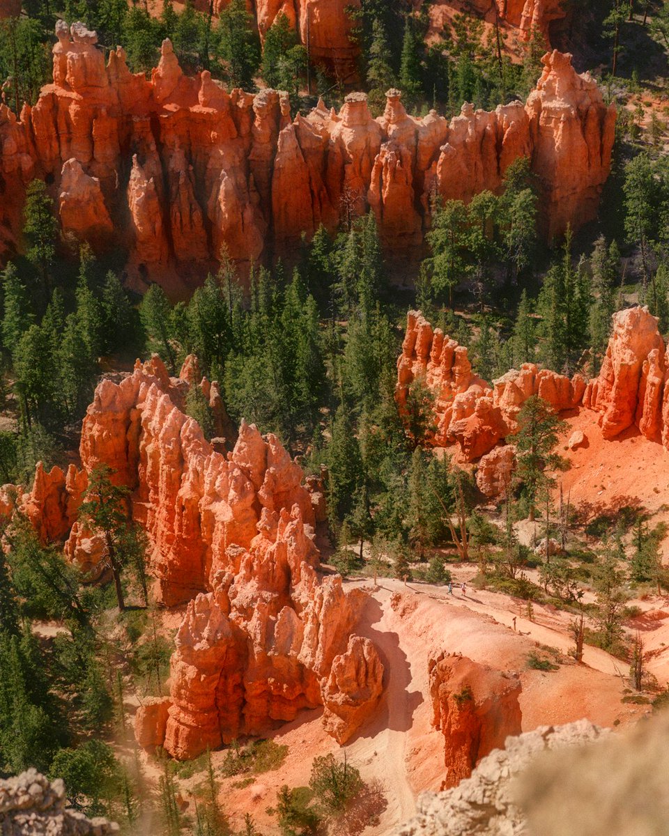 TomWindeknecht's tweet photo. Looking out over #BrycePoint. If you zoom in really close, you can see two hikers on the trail below.
@BryceCanyonNPS #bcnp #Utah #brycecanyon https://t.co/8KBRjhvo47