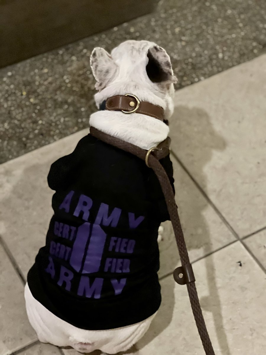 rizavb's tweet photo. Certified #Army #BTS @bts_bighit @HYBEOFFICIALtwt @BTSW_official https://t.co/o7CooclXki