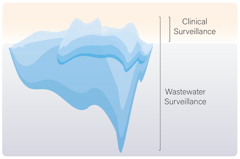 poos_clues's tweet photo. Cases, hospitalizations, and deaths (clinical surveillance) are just the “tip of the iceberg” of infectious disease transmission. 

Wastewater surveillance gives us a better understanding of what is circulating in the community. https://t.co/OKeSNoN7lV