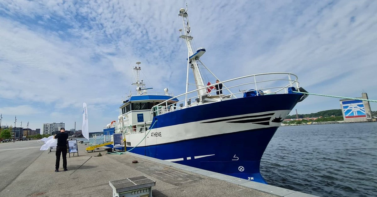 TroelsHegland's tweet photo. Har med @sqeliasen to indlæg i seneste @FiskeriTidende (betalingsmur). Vi samler op på undersøgelse af uddannelsen til fisker + rekrutteringsudfordringer i #dkfisk🐟
#Fiskeriskolen @bluegovernance @FSK_Forening @DKFISKPO @PelagiskPO  
Download rapport👇
https://t.co/DxToSbcKD5 https://t.co/foSoqZ9uO0