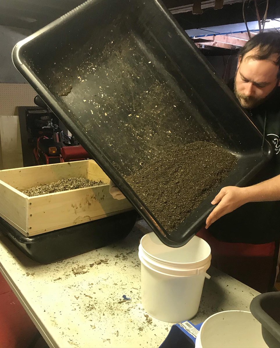 SevansWormery's tweet photo. We like to double sift our #worm castings to provide the best product for your #plants. We sift out large clumps of bedding and food not yet broken down and leave behind nutrient rich #vermicompost filled with #microbiology. It makes the perfect addition to any soil mixture! https://t.co/aAB2l1gsK4