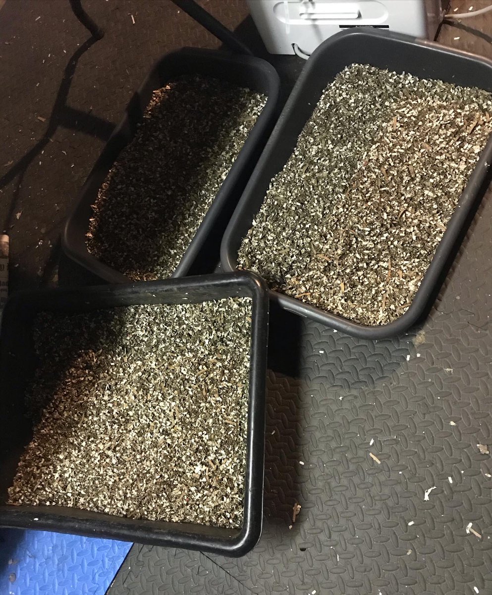 SevansWormery's tweet photo. We like to double sift our #worm castings to provide the best product for your #plants. We sift out large clumps of bedding and food not yet broken down and leave behind nutrient rich #vermicompost filled with #microbiology. It makes the perfect addition to any soil mixture! https://t.co/aAB2l1gsK4