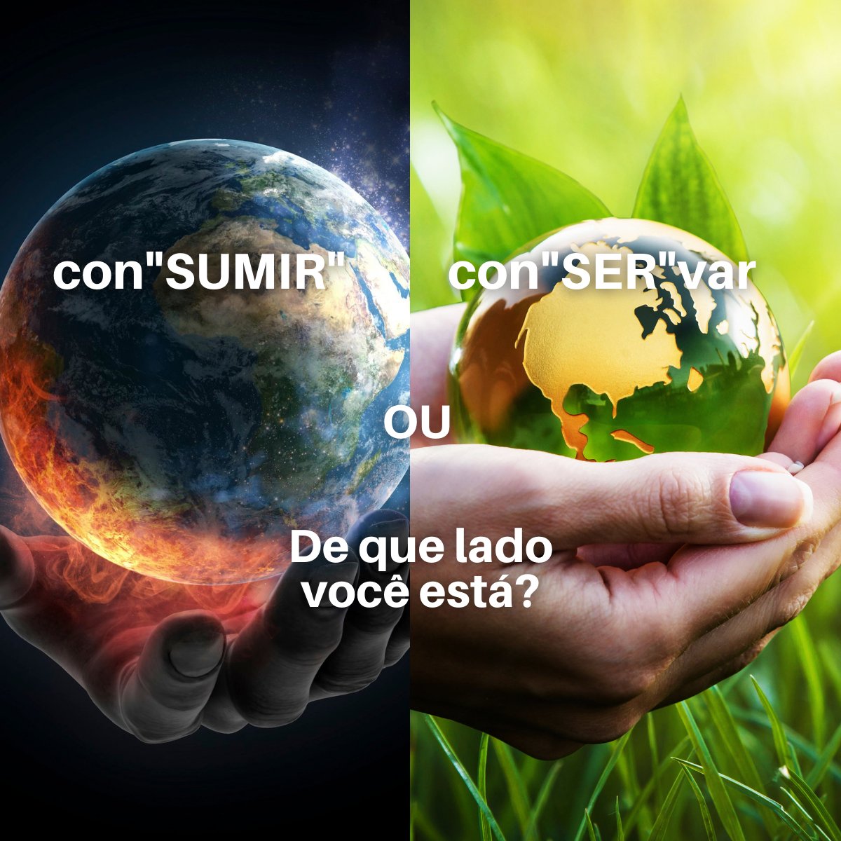bfdigitalsearch's tweet photo. principalmente movimentem a economia circular ( falaremos sobre este tema em outro post). Precisamos ter a semana do consumo consciente, o que você acha? Deixe seu comentário. https://t.co/g8U3OLArWF