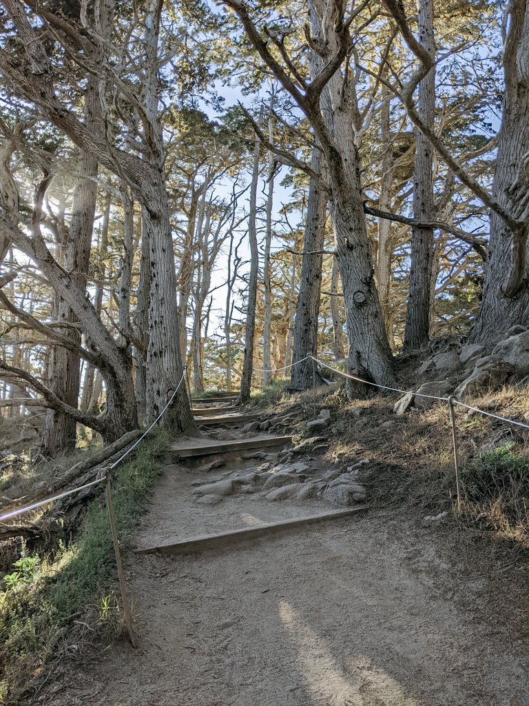 It felt nice to get out of the house this weekend.